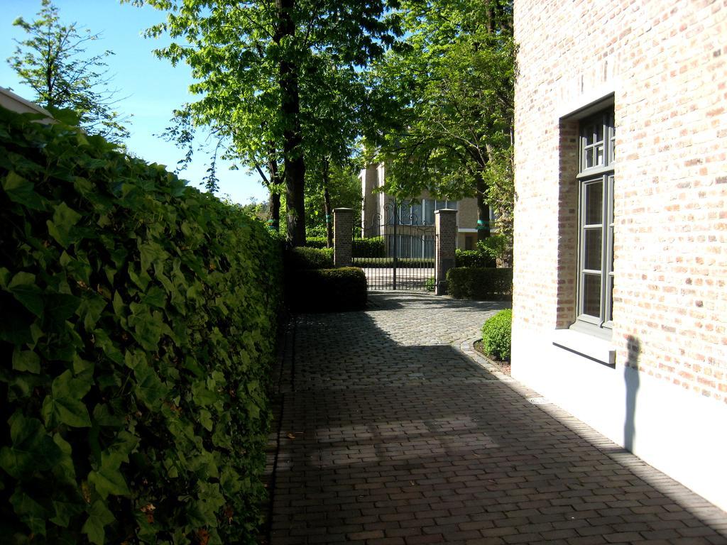 Отель Under Oaks Westmalle Экстерьер фото